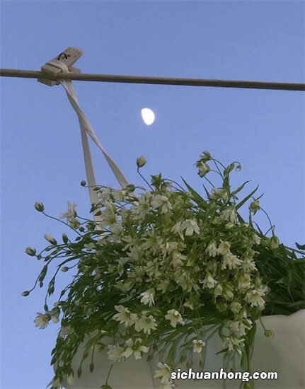 餐饮大品牌十大：肯德基超麦当劳第一，我国六品牌上榜