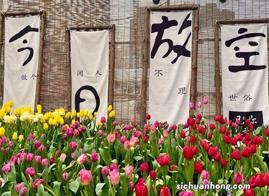 别太冲动：经期“办事”，容易给女性带来这些伤害