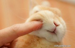 OPPO Reno参数公布，售价多少会是你的菜