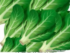 山楂片品牌排行榜：三只松鼠上榜，第一是专门山楂产品生产商