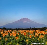 别墅电梯排名前十位的品牌，日立上榜，第一已成中国最大电梯企业
