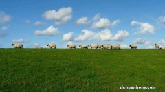 微信电脑版文件保存位置在哪里？