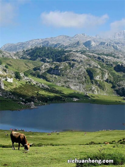 汽车导航，后视和中控那个更胜一筹？答案是肯定的