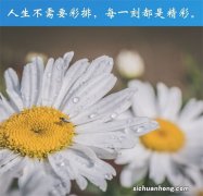 十大车载香水品牌排行榜：3M上榜，第一清新还杀菌