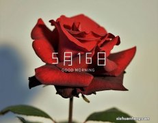 十大无损播放器品牌：爱国者上榜，第一全球知名度非常高