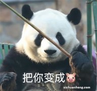 MINI自动挡变速箱坏的前兆