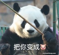 金庸群侠传手游官网安卓版下载 金庸群侠传手游下载