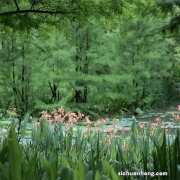 万一急用钱 保险合同可以用来换命