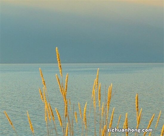 直击乌镇｜BAT实验项目落地 VR康复 无感支付 收垃圾的机器人