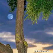 昆山汽车站微信可购汽车票啦 买车票So easy！