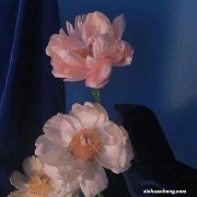 请问安卓手机去哪里下载游戏好一点？