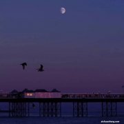 坐月子不能洗头、洗澡？注意这5点就没问题