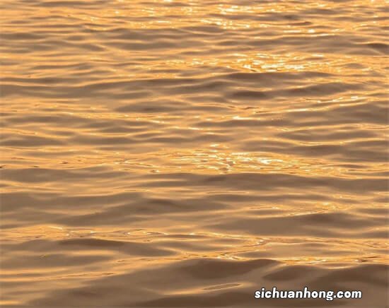 如果家里有人阳了,该如何消毒防范?