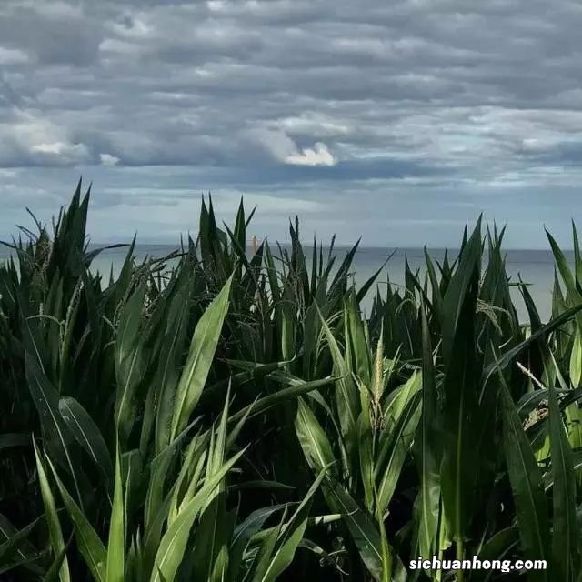 南宁住房公积金管理中心也实行异地贷款轮候制了!