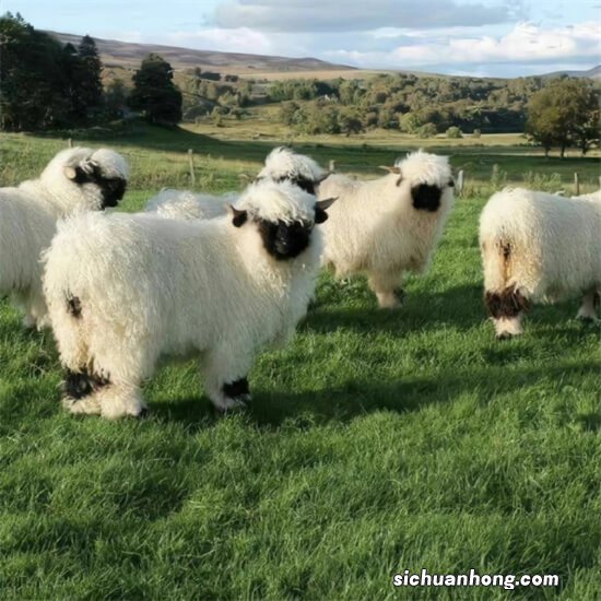 下 实战：视频监控安装调试42个要点