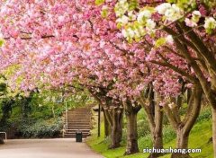 无房无车无工作，能申请信用卡吗？