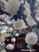 《浮图缘》从灯笼王爷到疯魔帝王，慕容高巩的偏执本就是一场悲剧