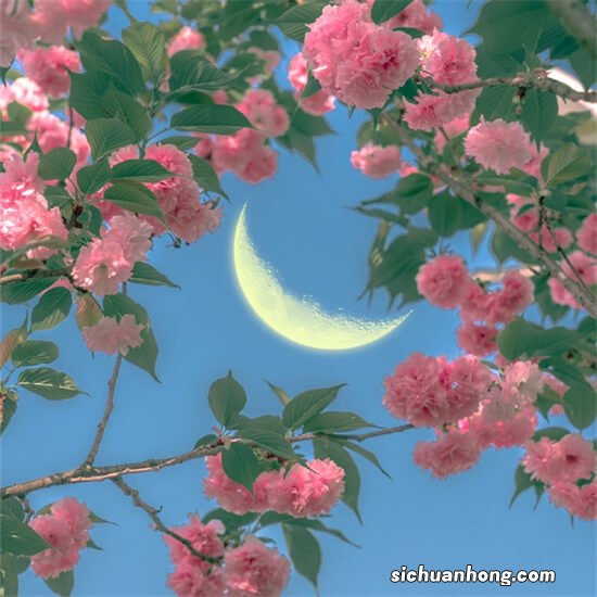 华为荣耀 旗舰永远绕不开的一个痛，也是目前最差的旗舰体验，你觉得华为屏幕如何？