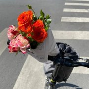 今年将有多款骁龙855手机上市，我们来盘点下近期会有哪些？