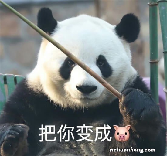 值得拥有：中国隐藏的硅能源板块五大龙头企业，市值2136.91亿