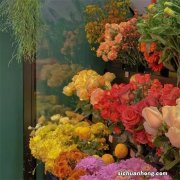 办理退休手续后，除了养老金之外，还有哪些待遇可以领呢？ 满足条