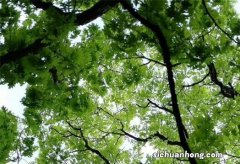 中国十大知名品牌内衣：古今未进前三，第一专为中国女性打造