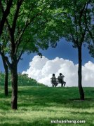 退休金和养老金是一回事吗？