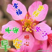 汽车购置税自己交和4s店交有什么区别？