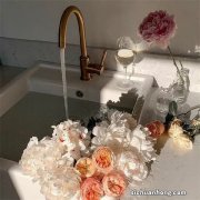 燃气热水器哪个牌子的质量比较好？