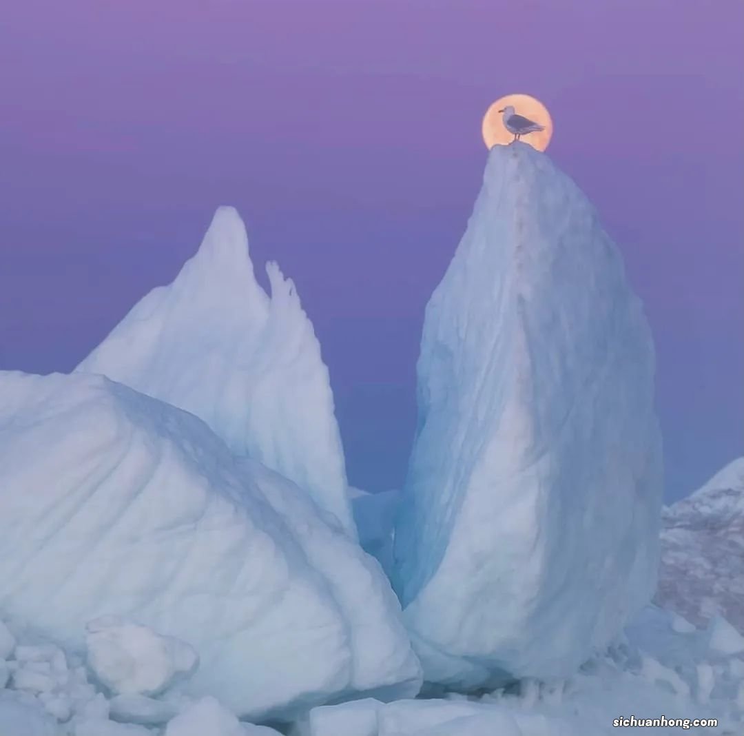 国内十大婚纱摄影，非元素摄影上榜，第一主打私人团队服务