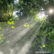 股票中的量、价、时、空，该怎么理解？