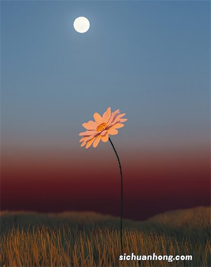 有哪些好的理财软件？