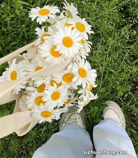 漫画解读，施工现场必备安全基础知识，施工安全有保障！