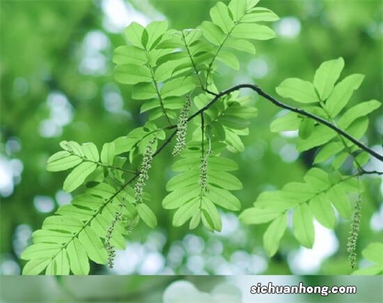 买房首付一般是多少，老猫说房为您解惑