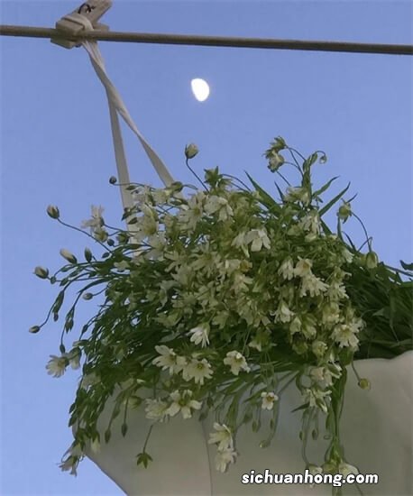 CPA重难点之《所得税》章节