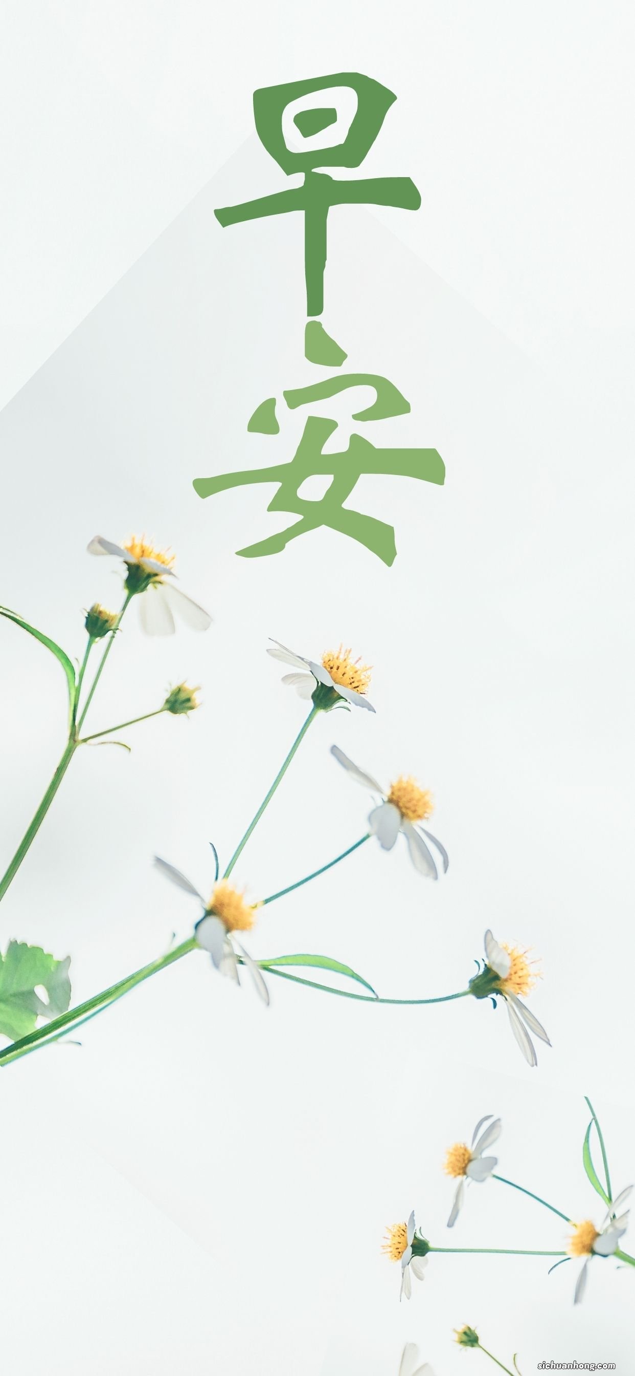 有人告诉你，可以教你低首付买房，而且是买完以后给钱，你会信吗？