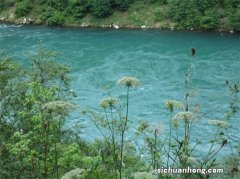 六年老司机谈高尔夫用车体验，除了异响扰人其他几乎完美！