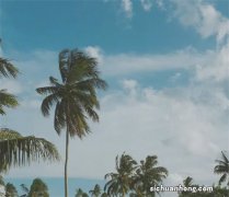 电脑忘记开机密码10秒解决