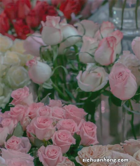 手机成了生活必需品,为何手机卖场越来越少?店家说出实情