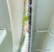 100万存银行一年利息是多少？如何提高收益？