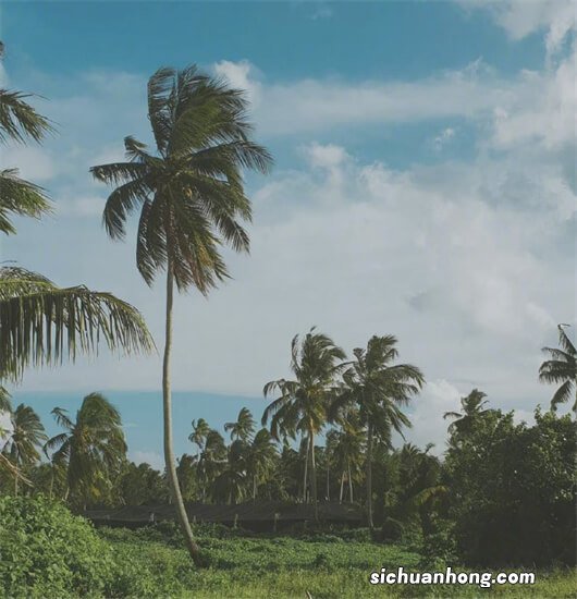 电热水器有“保命装置”，洗澡时就不用拔电源？来听师傅的真实话