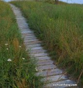 出差时总感觉手机信号比别人弱，有可能是你的手机太老了