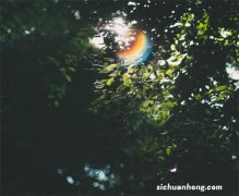 拼多多如何寻找竞争小的关键词技巧