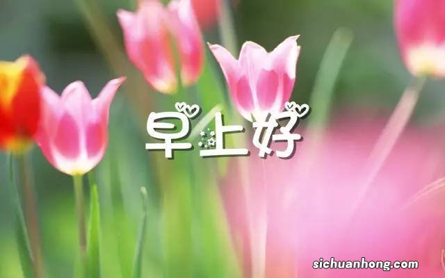 法国香水十大品牌排行榜：娇兰上榜，第一是香水中的皇后