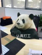 你的iPhone手机信号差？别着急，三步操作后就能立马变满格