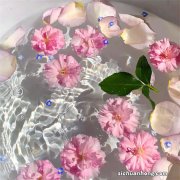 聊聊益生菌之六——如何挑选优质益生菌？