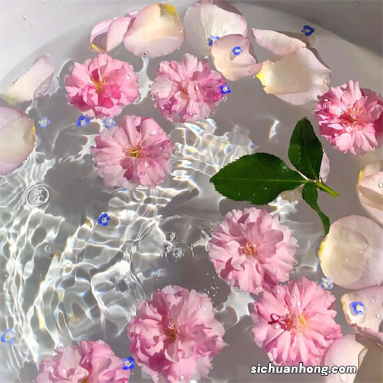 聊聊益生菌之六——如何挑选优质益生菌?