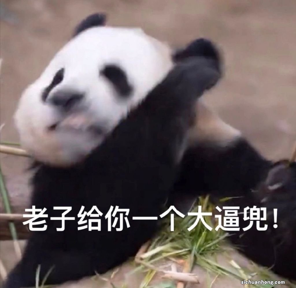 宝宝肠胃不好吃什么益生菌？实名推荐合生元