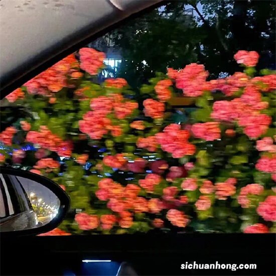 假发片品牌排行榜:小七假发上榜,第一成立已有三十多年