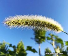 房贷如何提前还?必知长沙各大银行违约金收取明细